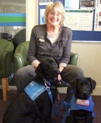 Jeni sitting down with two black Labradors at the SED offices in Kensington